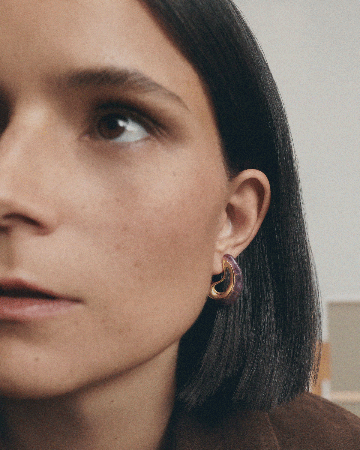 Dolphin image - PDPaola