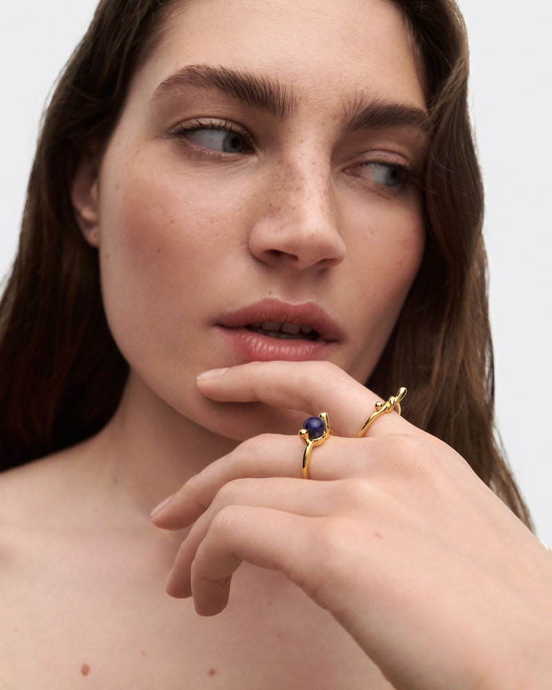 Sodalite Nexus ring - 
  
    Sterling Silver / 18K Gold plating
  
