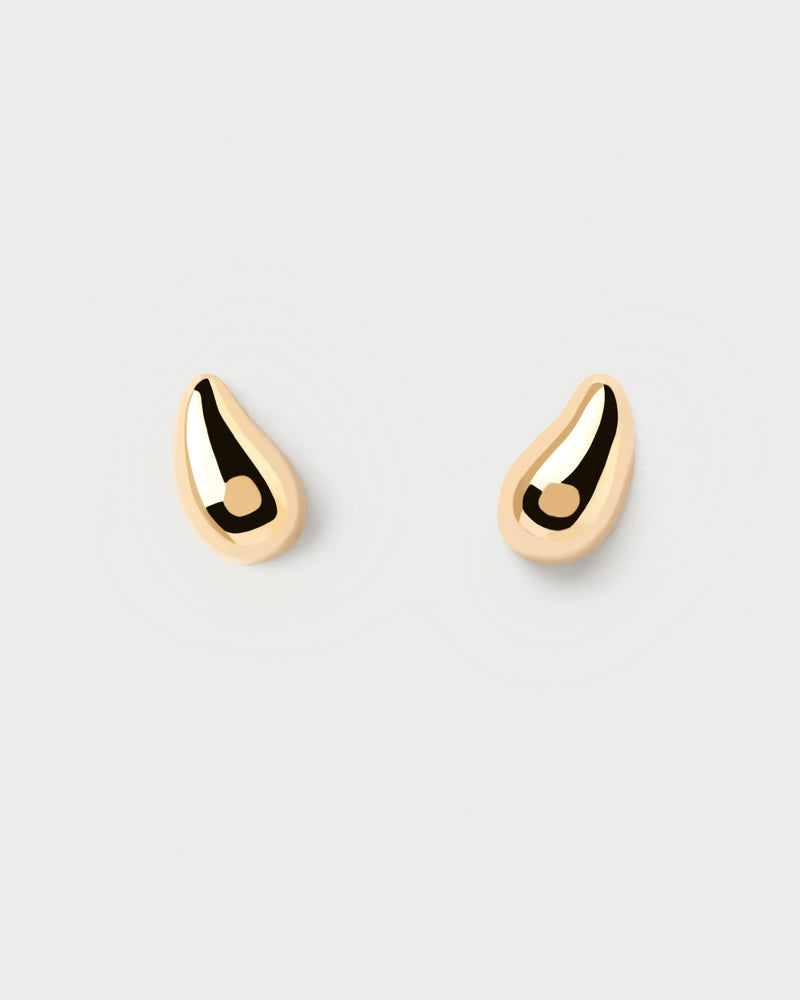 Drop Earrings - 
  
    Sterling Silver / 18K Gold plating
  
